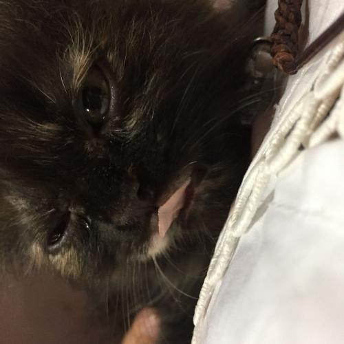 สมาชิกหมายเลข 4858996