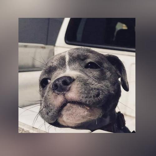 สมาชิกหมายเลข 5248229