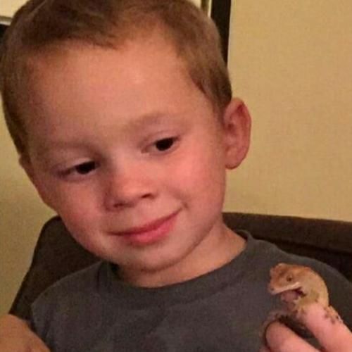 สมาชิกหมายเลข 5248334