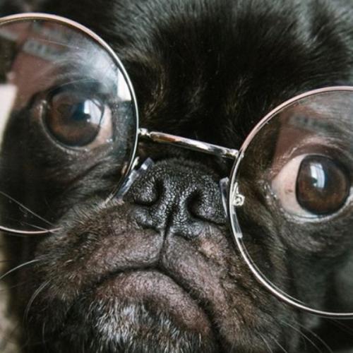 สมาชิกหมายเลข 5679534