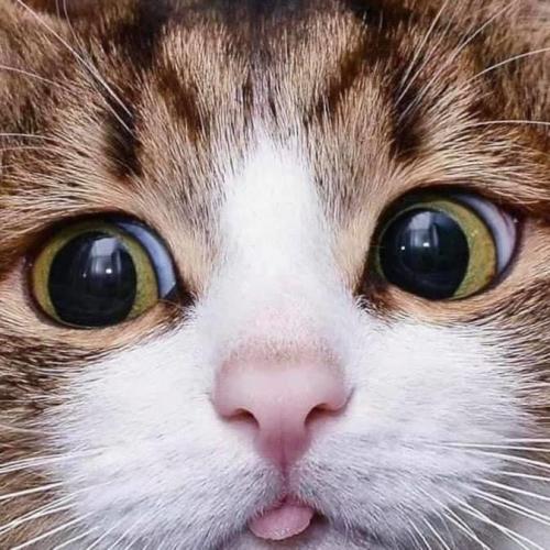 สมาชิกหมายเลข 5187989