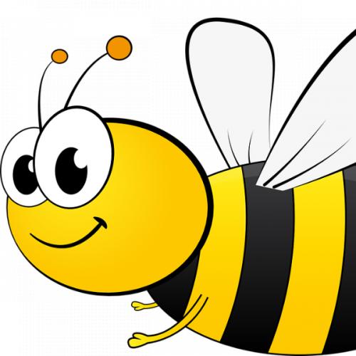 สมาชิกหมายเลข 5912964