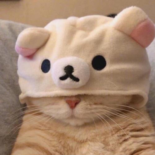 สมาชิกหมายเลข 6253007