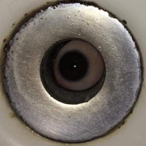 สมาชิกหมายเลข 6849188