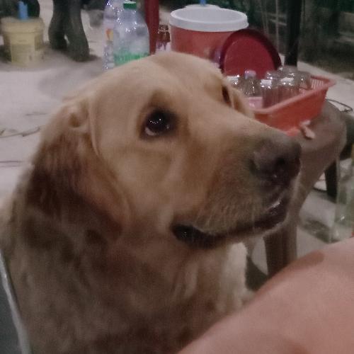 สมาชิกหมายเลข 5863521