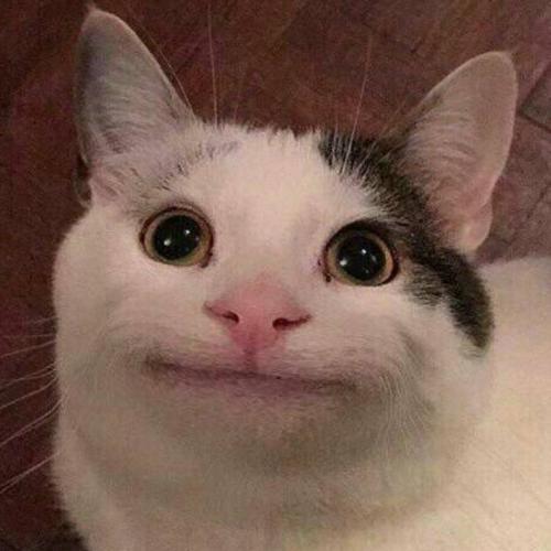 สมาชิกหมายเลข 4830476