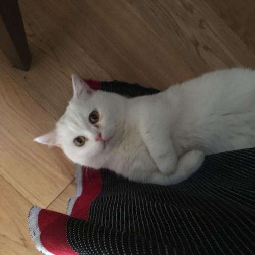 สมาชิกหมายเลข 945222