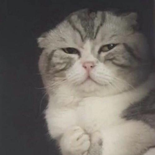 สมาชิกหมายเลข 1981954