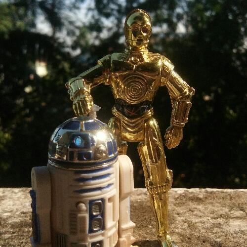 สมาชิกหมายเลข 4617796