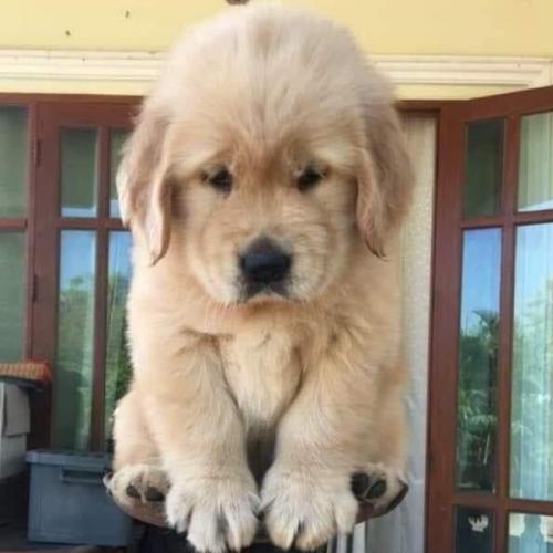 สมาชิกหมายเลข 3557873