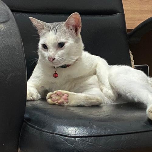 สมาชิกหมายเลข 2258102