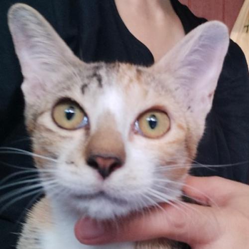 สมาชิกหมายเลข 6953169