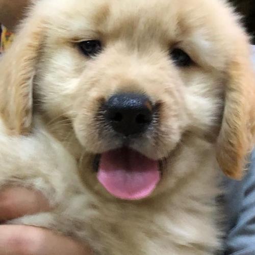 สมาชิกหมายเลข 881860