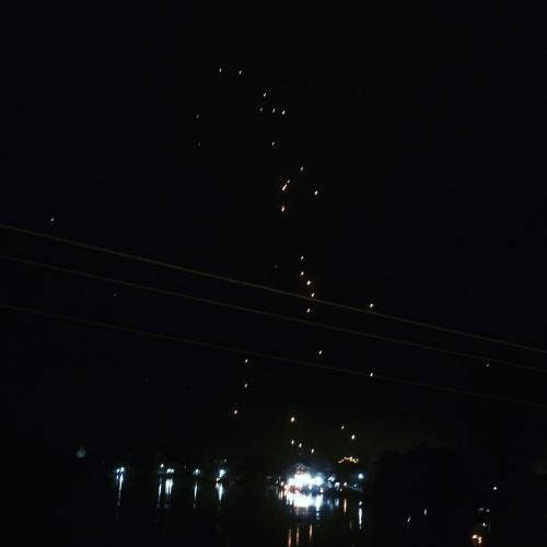 ก๊อตซิลล่าแคระ