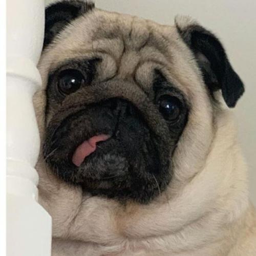 สมาชิกหมายเลข 3019615