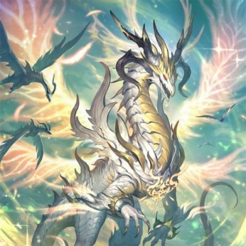 สมาชิกหมายเลข 7682657