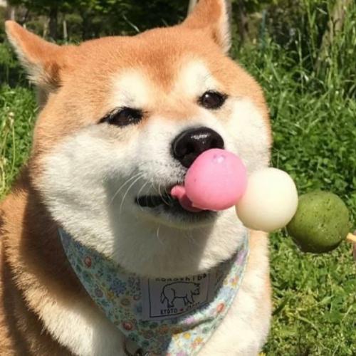 สมาชิกหมายเลข 4620465