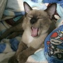 สมาชิกหมายเลข 3615918