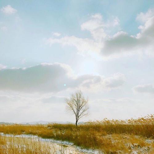 สมาชิกหมายเลข 4078268