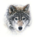 สมาชิกหมายเลข 4859658