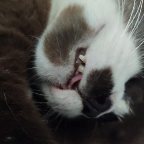 สมาชิกหมายเลข 5681052