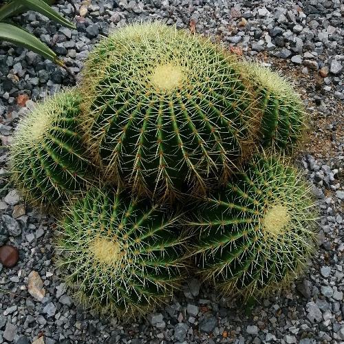 สมาชิกหมายเลข 3952670