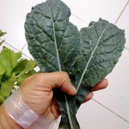 สมาชิกหมายเลข 6262878