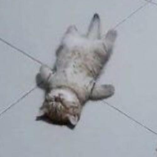 สมาชิกหมายเลข 6902639