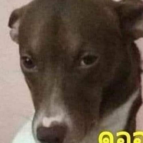 สมาชิกหมายเลข 6921099