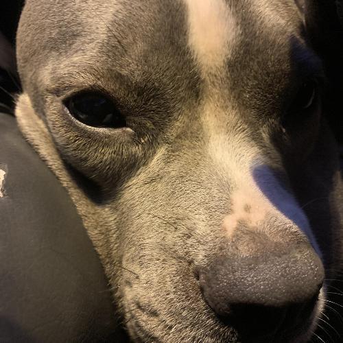 สมาชิกหมายเลข 6063617