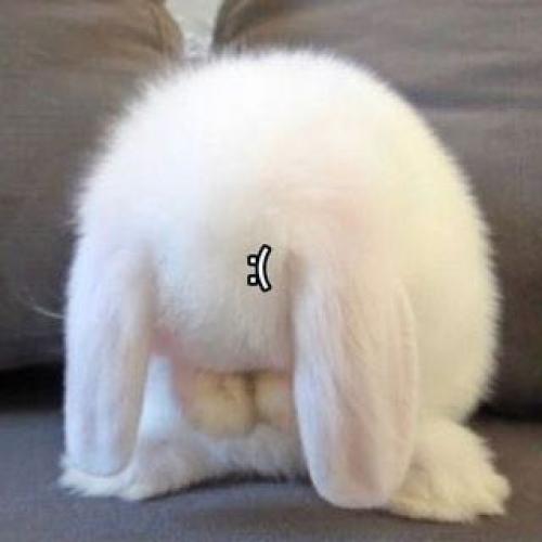 สมาชิกหมายเลข 7683957