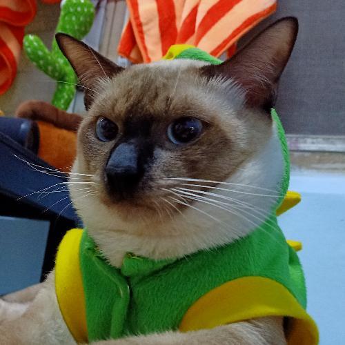 สมาชิกหมายเลข 2406054