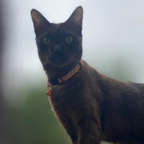 สมาชิกหมายเลข 4909630