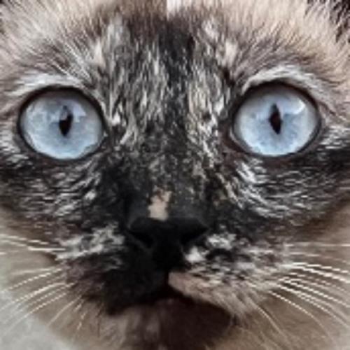 สมาชิกหมายเลข 8635180