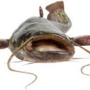 สมาชิกหมายเลข 2723993