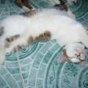 สมาชิกหมายเลข 1025111