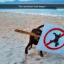 สมาชิกหมายเลข 4048234