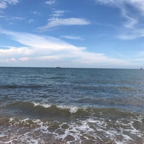 สมาชิกหมายเลข 1883819