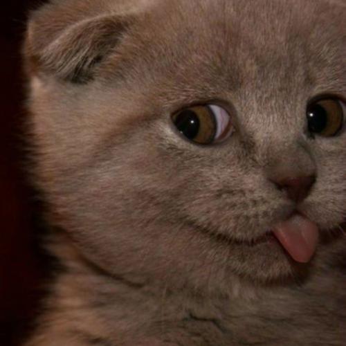 สมาชิกหมายเลข 5378508