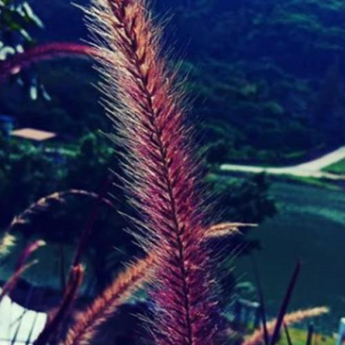 สมาชิกหมายเลข 5681511