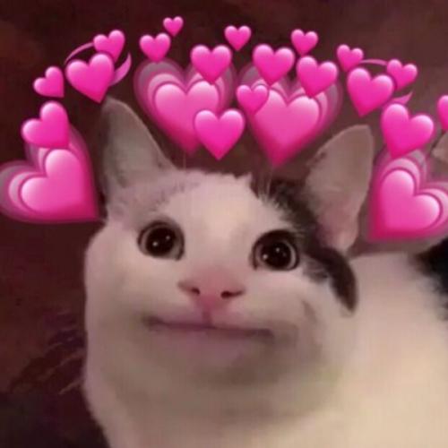 สมาชิกหมายเลข 3024561