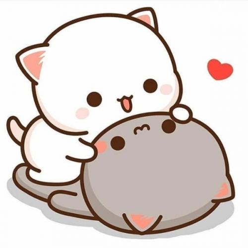 สมาชิกหมายเลข 3187353