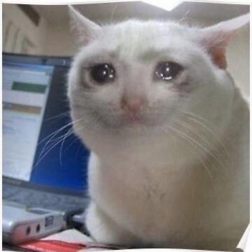 สมาชิกหมายเลข 5902756