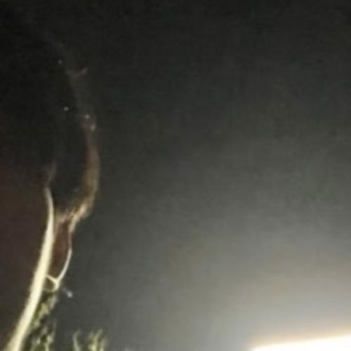 สมาชิกหมายเลข 4671719