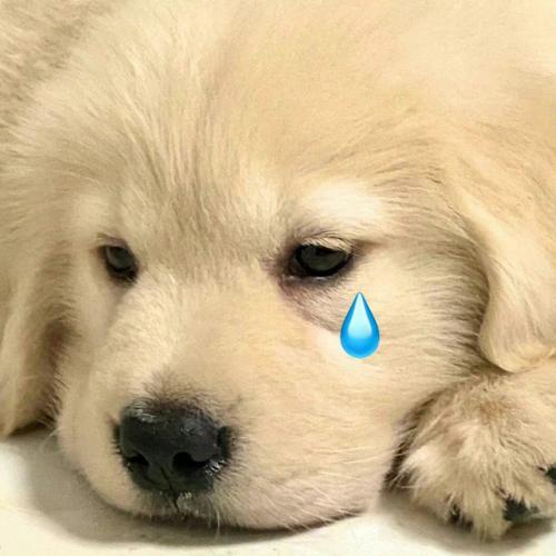 สมาชิกหมายเลข 3640788