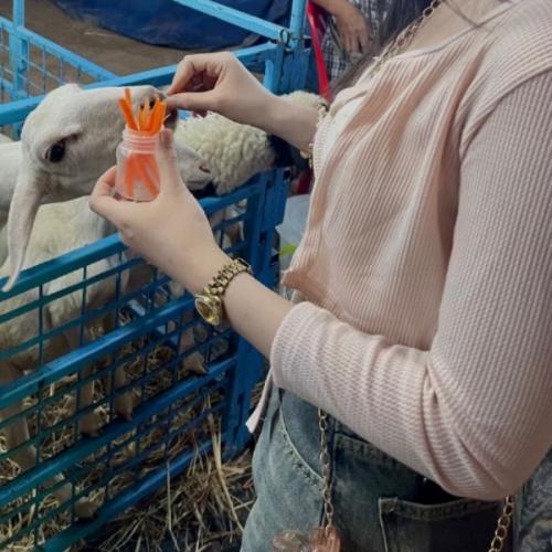 สมาชิกหมายเลข 7792334