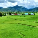 สมาชิกหมายเลข 2026127