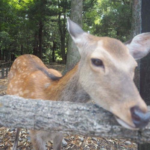 สมาชิกหมายเลข 2738578