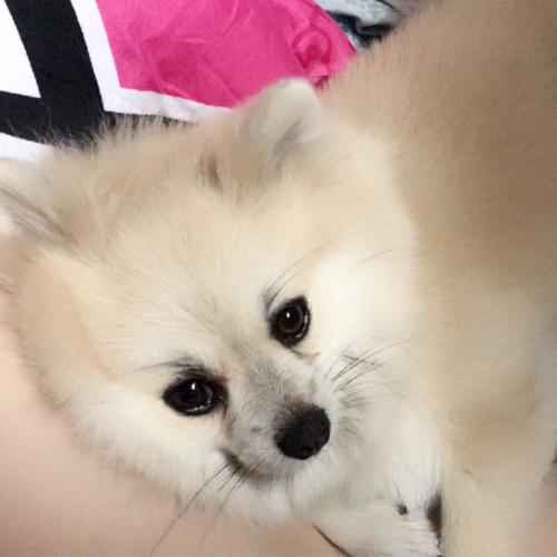 สมาชิกหมายเลข 4804881