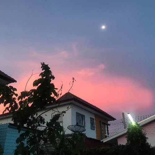 สมาชิกหมายเลข 4866877